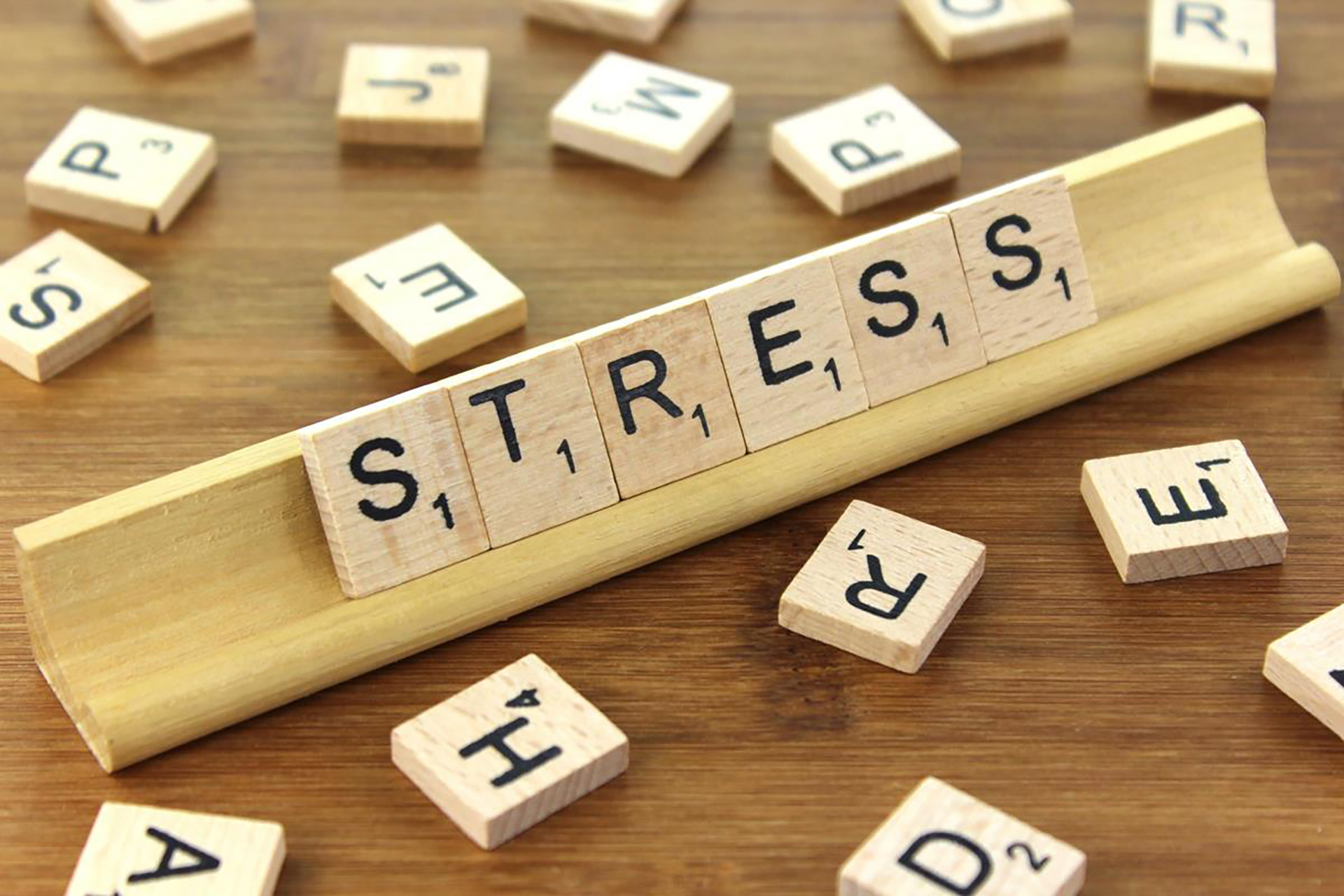Hochsensibilität - Stress - Afectivo Psychotherapie & Coaching